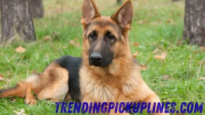 German Pick Up Lines